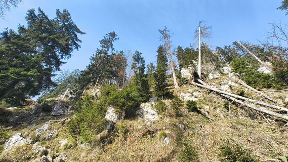 Photo de Johannes Zaunrith (Xinoi) le long du parcours