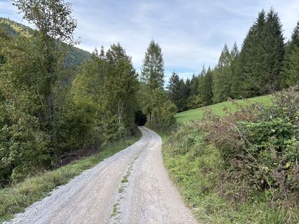 Foto de Gerzabek Jeremias a lo largo del recorrido