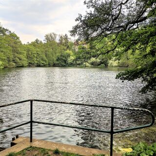 Ritzebühler Teich