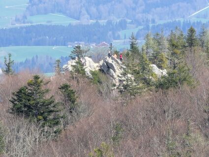 Fotografia z Hiking Hermit na trase