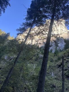 Fotografija s spletne strani Iwona Domagalska na poti