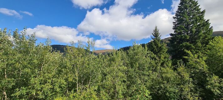 Foto von Monika Röska entlang der Tour