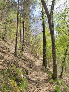 Fotografie de la ReginaSt de-a lungul turului