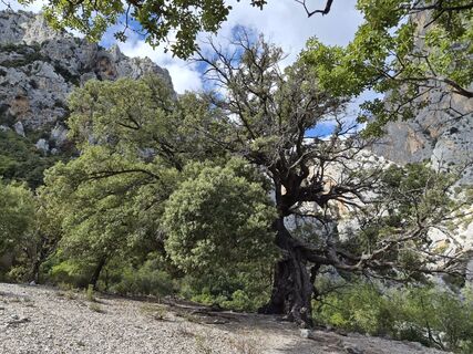 Photo de Markus thurnher le long du parcours