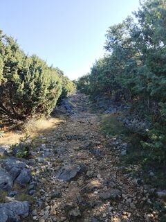 Photo de Ronald Hanser le long du parcours