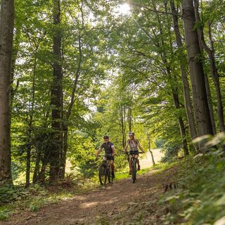 MTB Wienerwald