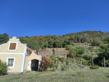 Fotografia z Làszló Visi na trase