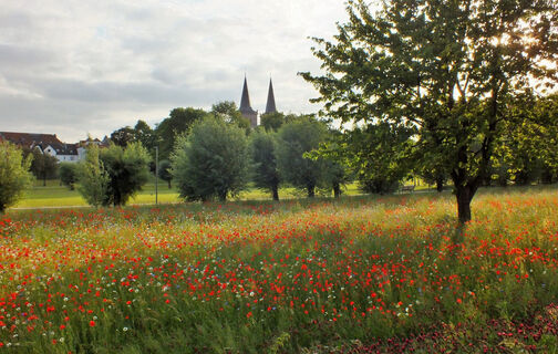 Kurpark Xanten mit Dom