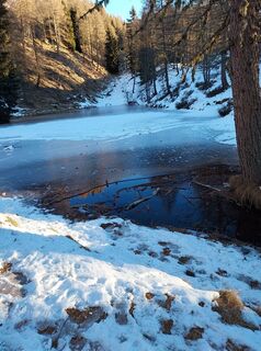 Fotografija s spletne strani Mauro Bianchin na poti