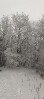 Zdjęcie z Michaela Khandlová wzdłuż trasy