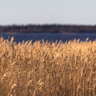 Blick entlang des Naturlehrpfades