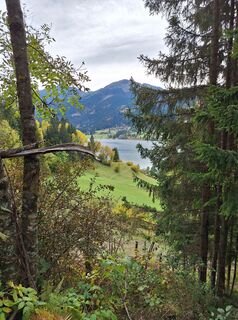 Foto von Dagmar Hofer entlang der Tour