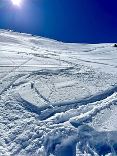 Photo de ArtOtter le long du parcours