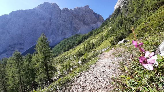 Photo de Aga M le long du parcours