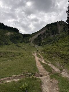 Fotografija s spletne strani Felix Rietz na poti
