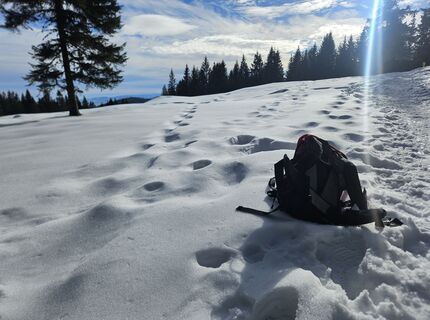 Foto von Franz Russ entlang der Tour