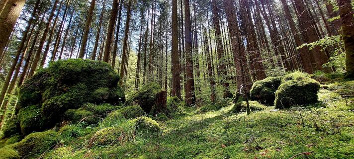 Foto von Johann Schallinger entlang der Tour