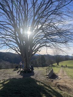 Fotografia z Günter Goldschmidt na trase