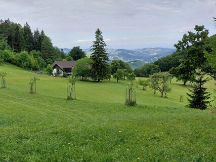 Photo de Helmut Wolfgang le long du parcours
