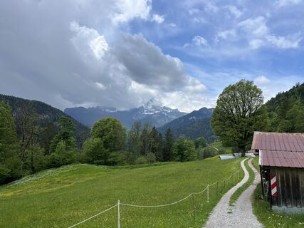 Zdjęcie z Heikoala wzdłuż trasy