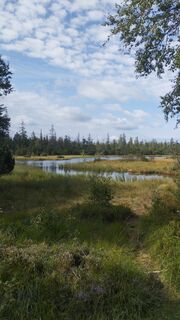 Fotó a Oliver Gotthardt honlapról a túra során
