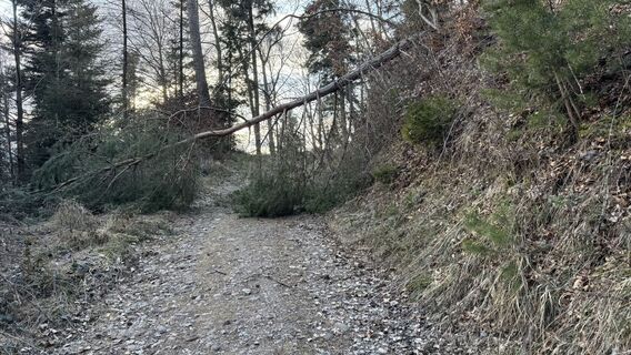 Foto von peter_oe entlang der Tour
