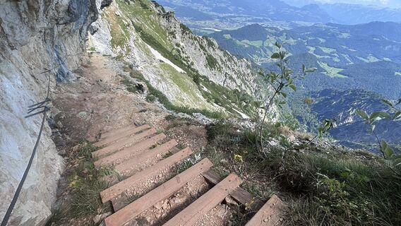 Fotografija s spletne strani Mountain Cat ? ⛰️ na poti