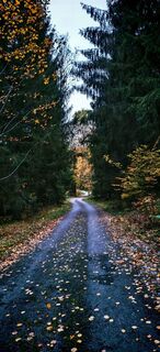 Foto von ReginaSt entlang der Tour