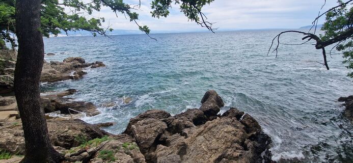 Fotografia z Utassy Tóth Johanna na trase