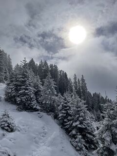 Foto von Oriana entlang der Tour