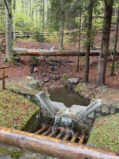 Zdjęcie z Tobias Heller wzdłuż trasy