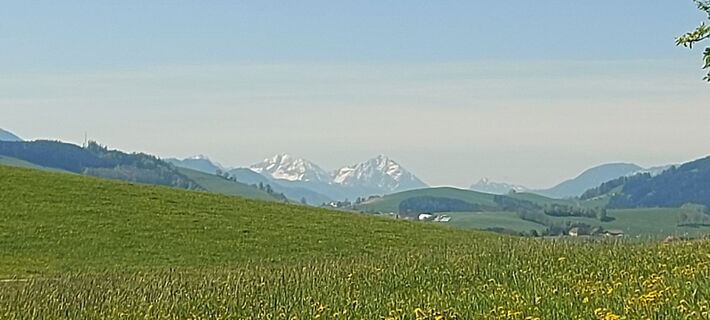 Fotografia z Klaus Gruber 3 na trase