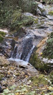 Fotografie de la Horst-Dieter Lutz de-a lungul turului