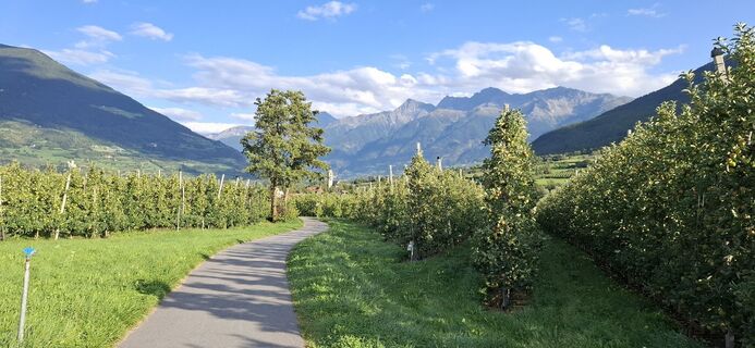 Fotografia z Petra Poslusny na trase
