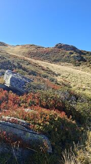 Photo de PerryB le long du parcours
