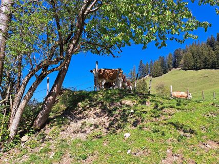 Fotografia z Sandra Stemplinger na trase