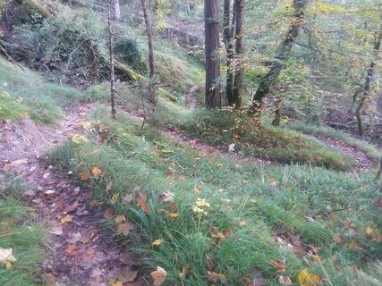 Beginn des Aufstieg