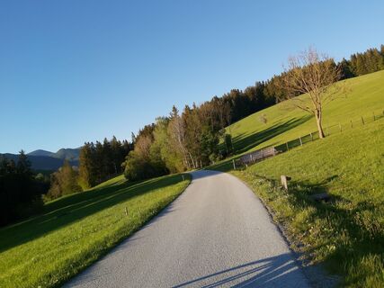 Hinunter nach Tulwitz, Naturpark Almenland in der Oststeiermark