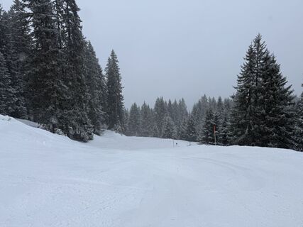 Foto von Artur entlang der Tour