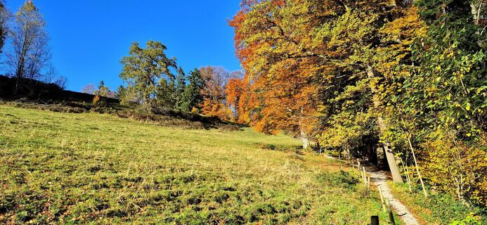 Photo de Thomas Schekira le long du parcours