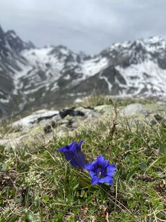 Zdjęcie z Robert Rittig wzdłuż trasy