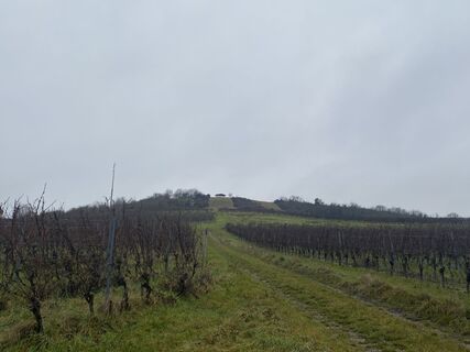 Foto von Arthur Muskalla entlang der Tour