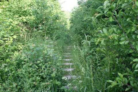 Überwuchter Pfad auf Gaildorfer Rundwanderweg 1