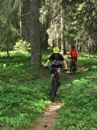 Mountainbiken