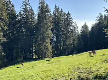 Foto da Marion P. lungo il tour