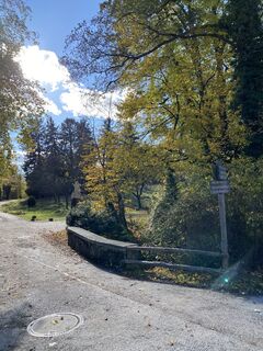 Fotografia z Thomas Handlir na trase