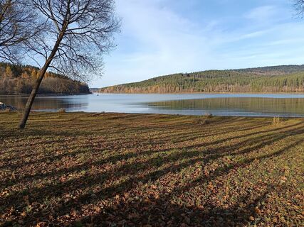 Foto de Harald a lo largo del recorrido
