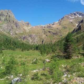 Karte