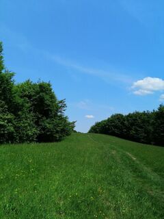 Fotografia z Christina Turnwald na trase