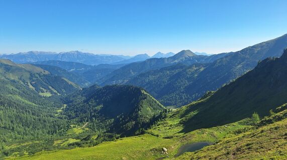 Fotografija s spletne strani Regina Fleischmann na poti